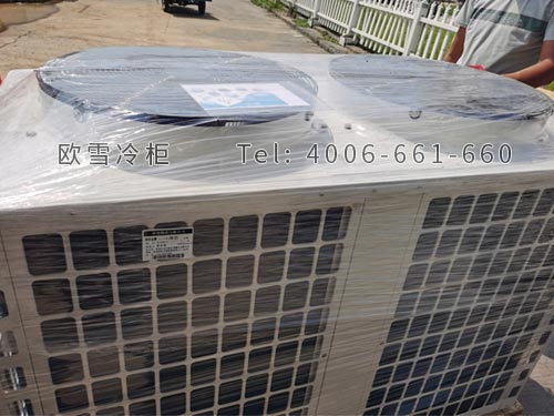 1599705477775999.jpg a11.jpg