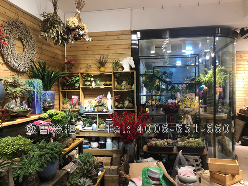 1601172290265816.png a17.png