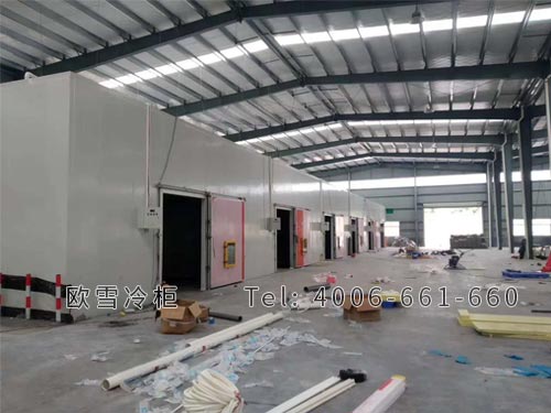 1604132362147226.jpg a27.jpg