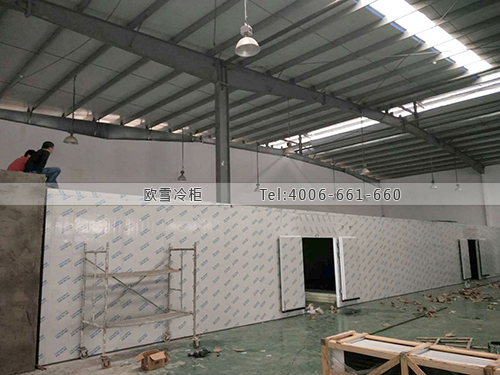 1618122751387267.jpg 682-1P502142106239.jpg