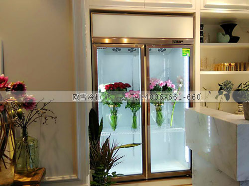 鮮花保鮮柜.jpg 鮮花保鮮柜.jpg