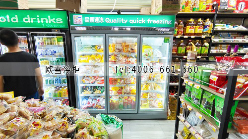 冷凍柜冰柜冷柜jpg