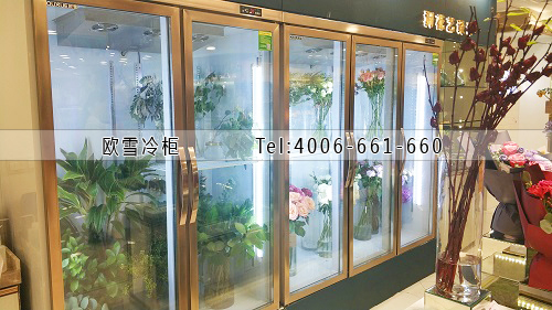 好的鮮花保鮮冷柜價(jià)格.jpg