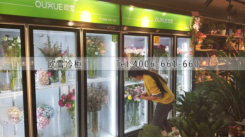 鮮花保鮮柜冰柜價格.jpg