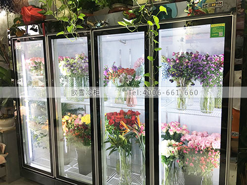 鮮花保鮮柜.jpg 鮮花保鮮柜.jpg