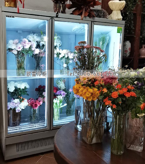 鮮花保鮮柜.jpg 鮮花保鮮柜.jpg