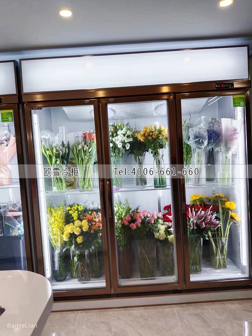 鮮花保鮮柜.jpg