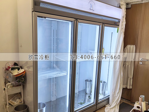 鮮花保鮮柜.jpg 鮮花保鮮柜.jpg