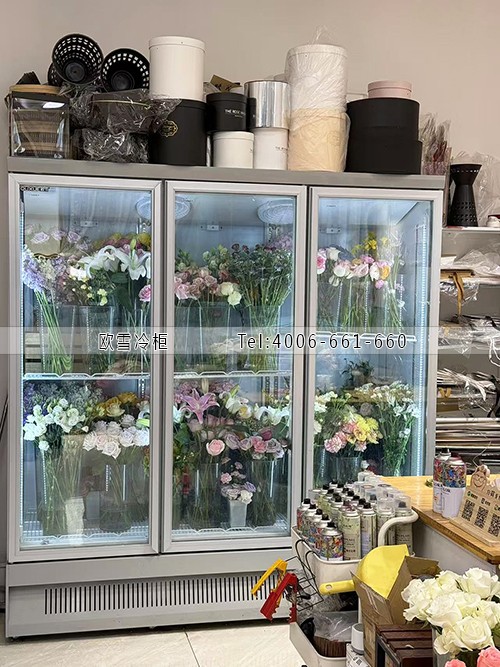 鮮花保鮮柜.jpg 鮮花保鮮柜.jpg