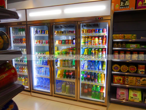 A236福建省廈門市湖里區(qū)吉智屋便利店冰柜