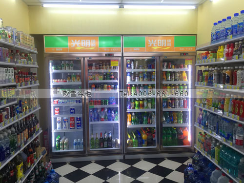 A248上海市楊浦區(qū)光明便利店冰柜