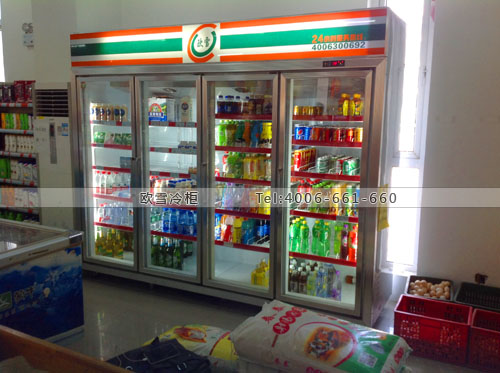 A246上海市奉賢區(qū)朗浩食品店展示冰柜