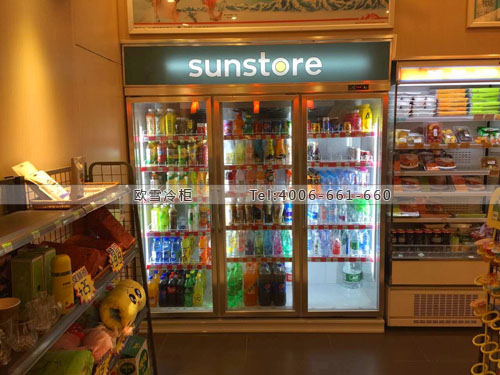 A245上海市浦東區(qū)sunstore便利店冰柜