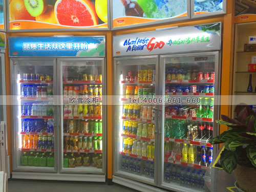 A231浙江省杭州市富陽區(qū)中石油加油站便利店冷柜