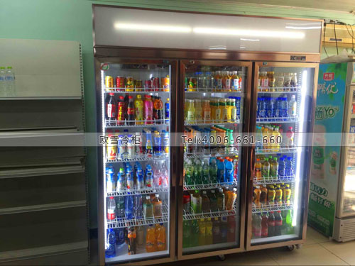 A289湖北省武漢市吉時買便利店冷藏展示柜
