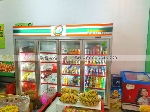 A315湖南省邵陽武岡市金果園水果零食保鮮柜