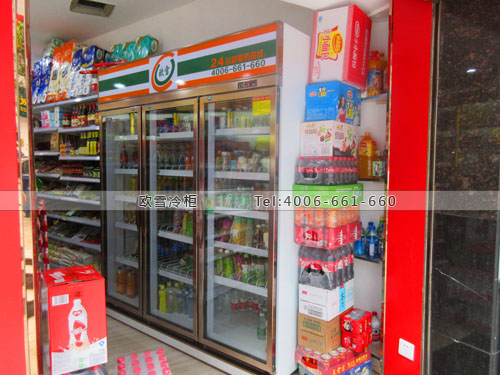 A253重慶市九龍坡區(qū)芙蓉興盛便利店冷藏展示柜