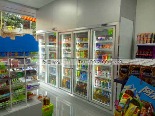 A316廣東省東莞市東城區(qū)家和便利店展示柜