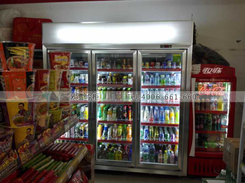 A343四川省成都市金牛區(qū)雅堂小超飲料冷藏展示柜
