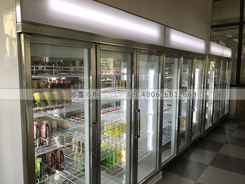 A252上海市金山區(qū)金山中學上海教育超市冷柜