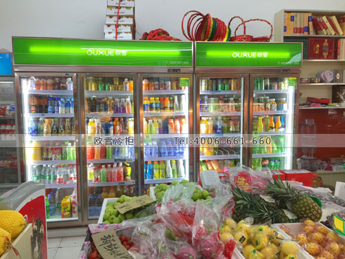 A301湖北省武漢市洪山區(qū)金福超市冷藏展示柜