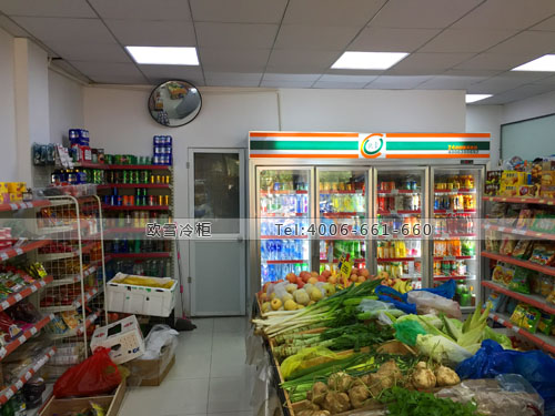 A292上海市浦東區(qū)杜先生便利店冷柜