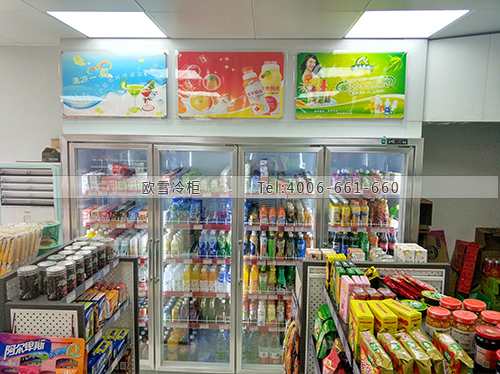 A264廣東省廣州市白云區(qū)京東便利店冷藏展示柜