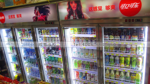 A333廣西省南寧市贏和便利店冷藏展示柜