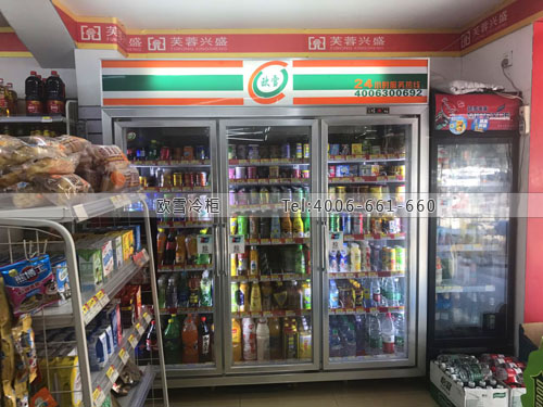A361江西省九江市芙蓉興盛便利店冷柜