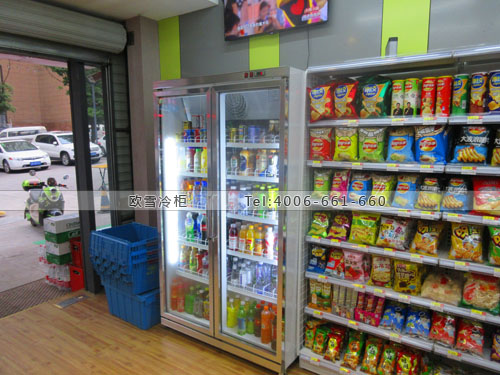 A257重慶市江北區(qū)芙蓉興盛便利店冰柜