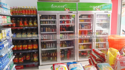 A354福建省廈門市同安區(qū)農(nóng)盛超市冷柜
