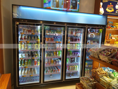 A322湖南省長(zhǎng)沙市岳麓區(qū)港薦進(jìn)口商品生活館冷柜