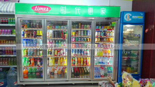 A273江西省南昌市時代惠家小程便利店冷柜