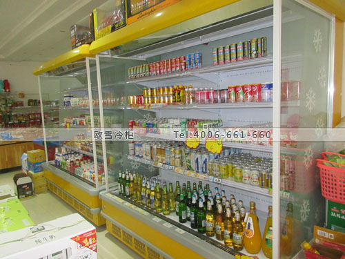 A321四川省廣安市岳池縣樂美鮮飲料風(fēng)幕柜