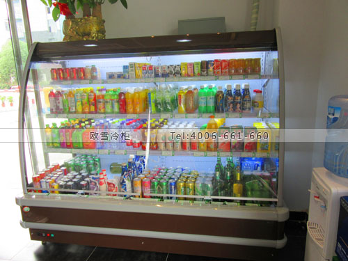 A266江蘇省南京市浦口區(qū)嘉慕連鎖便利店冰柜