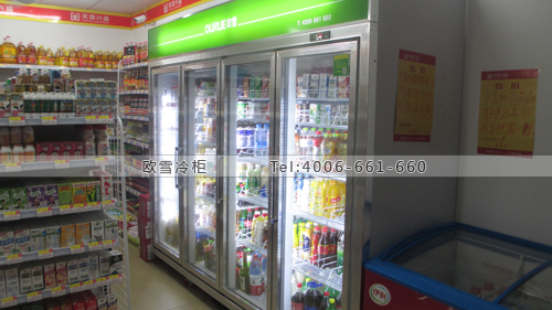 A309廣西省南寧市良慶區(qū)芙蓉興盛便利店冷藏柜