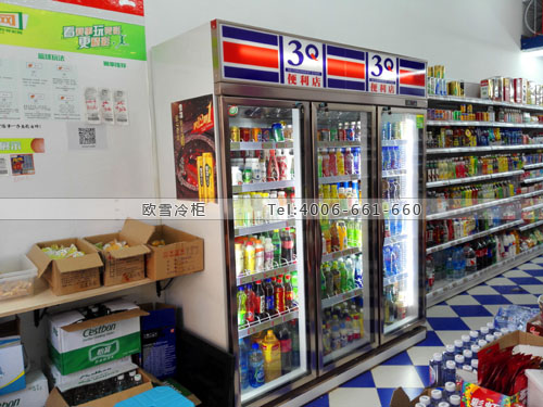 A326四川省成都市雙流區(qū)3Q便利店冰柜