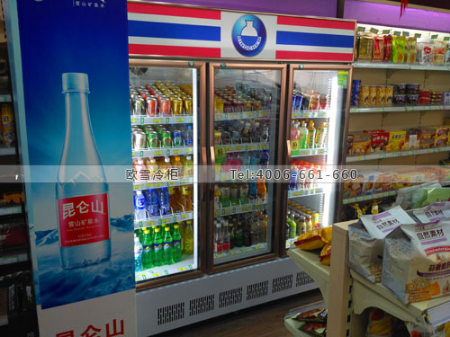 A313北京市朝陽(yáng)區(qū)中化吉利加油站便利店展示柜