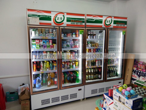 A328廣西省南寧市青秀區(qū)雙百便利店冷藏柜