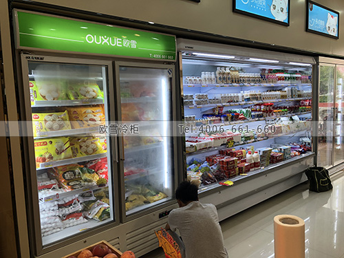 A403江西省撫州市臨川區(qū)D多點(diǎn)便利店冷藏柜