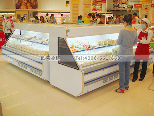 B039深圳羅湖吉之島旭洋豆制品冷藏保鮮柜