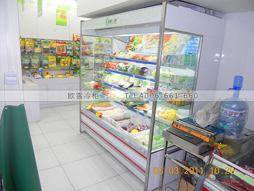 B027東莞寮步高爾夫花園綠色快線水果保鮮柜-蔬菜保鮮用冰箱-鮮肉保鮮冷藏柜