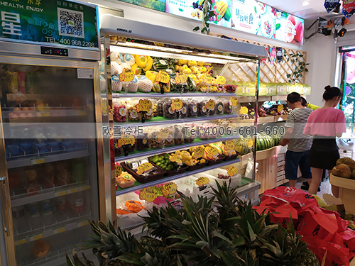 B033江西省撫州市臨川區(qū)奇果鮮生水果冷藏柜