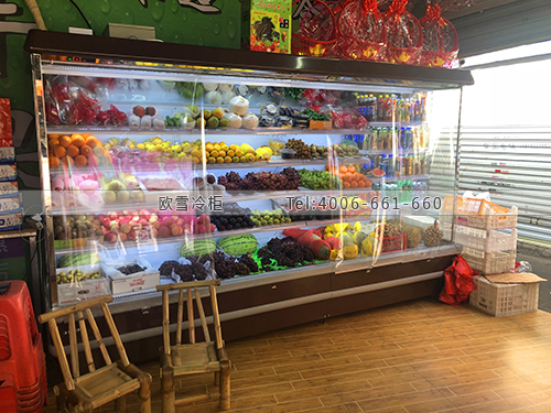 B030江西省撫州市山羊水果專賣店保鮮柜