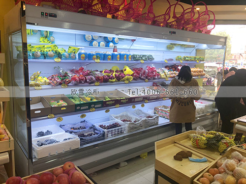 B031江西省撫州市金禾水果生鮮冷藏展示柜