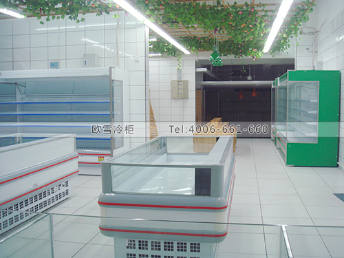 B008肇慶天天農(nóng)展會(huì)超市低溫島柜-超市冷凍島柜-速凍食品冷柜