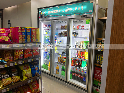 A399浙江省杭州市余杭區(qū)虎哥回收便利店冷柜