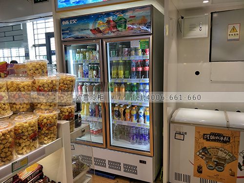 A374浙江省紹興市高鐵北站巧婦人特產(chǎn)零售冷柜