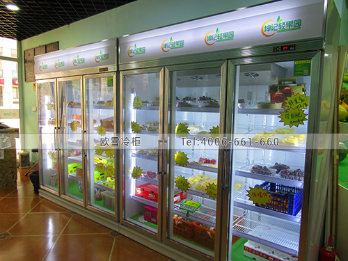 B004江蘇省南京市雨花臺區(qū)坤記輕果園保鮮展示柜