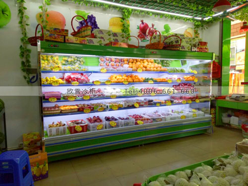 B087廣東省東莞市塘廈鎮(zhèn)陽興水果店保鮮柜